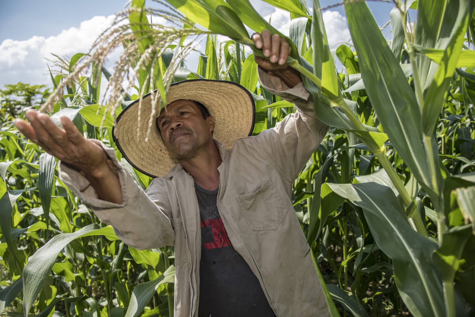 An index to tackle ‘hidden hunger’