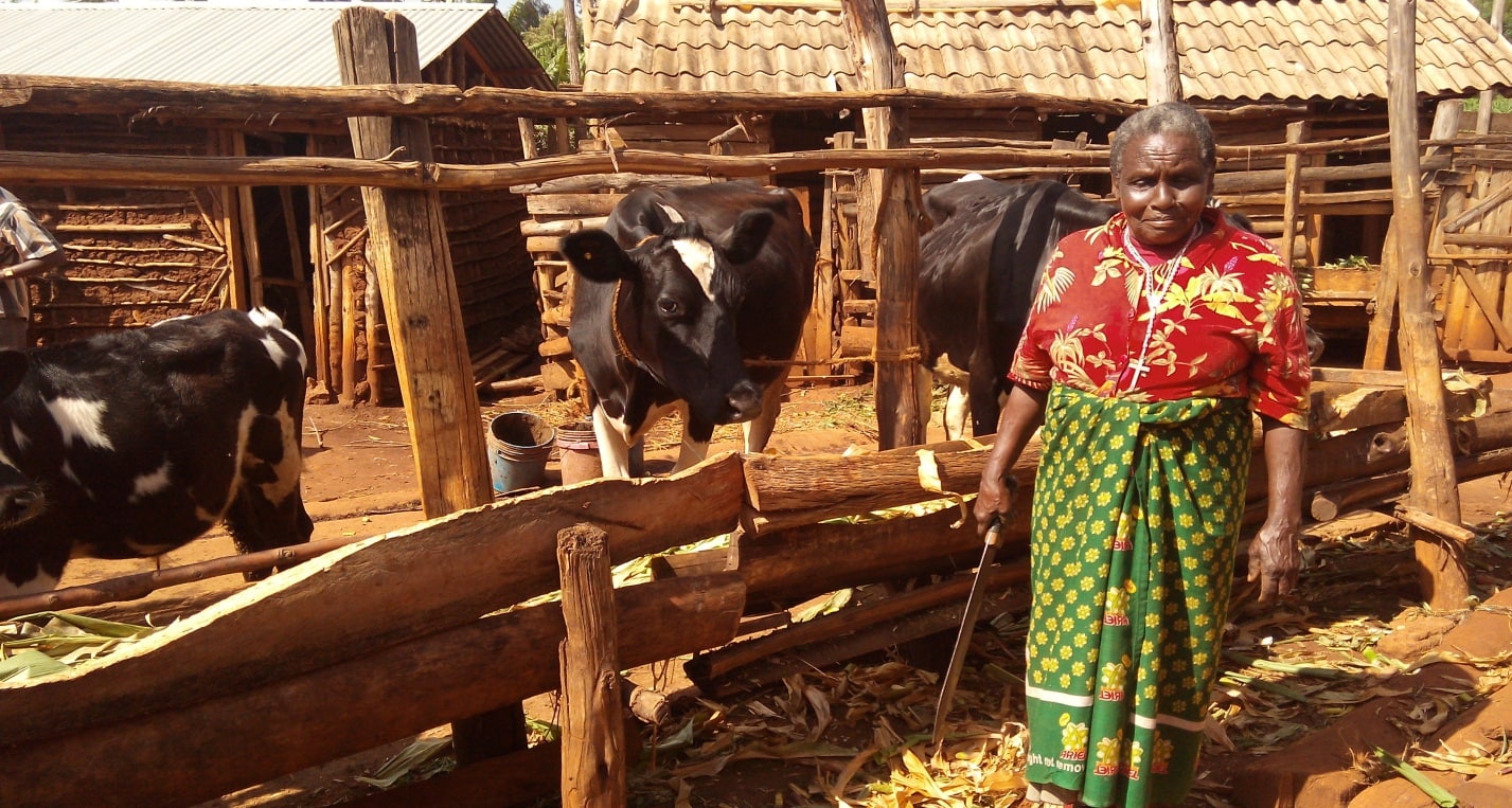 Pro-poor dairy policy in East Africa and India
