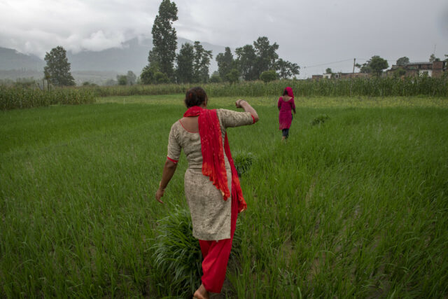 Portfolio Narrative Overview