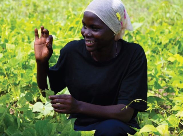 Bean field inspection focusing on the use improved seeds, Uganda