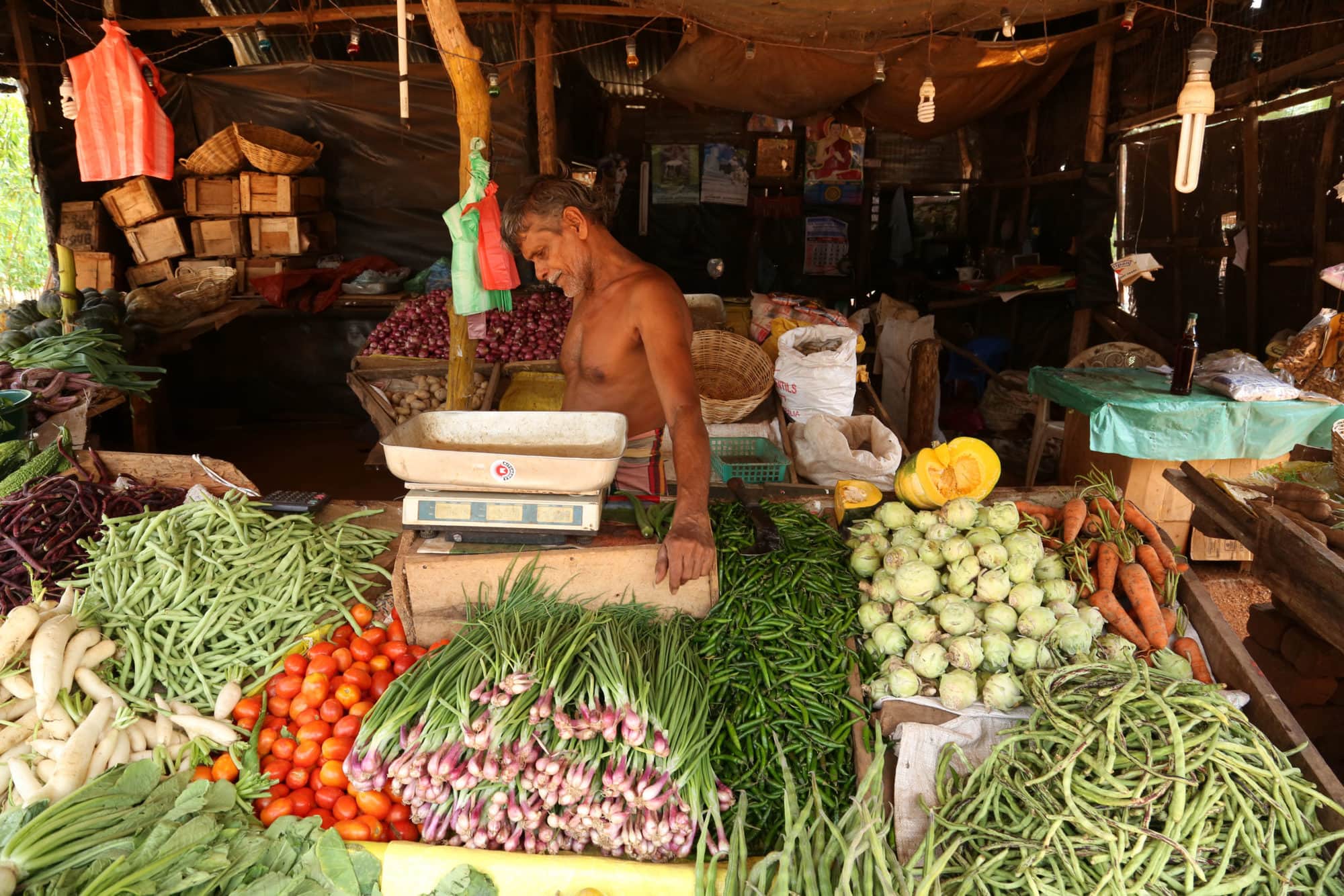 Biodiversity for food and nutrition
