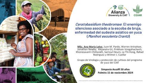 Ceratobasidium theobromae: El enemigo silencioso asociado a la escoba de bruja, enfermedad del sudeste asiático en yuca (Manihot esculenta Crantz)