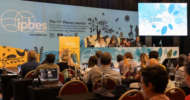 Photo showing people gathering in a conference hall for a media release.