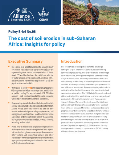 The cost of soil erosion in sub-Saharan Africa: Insights for policy