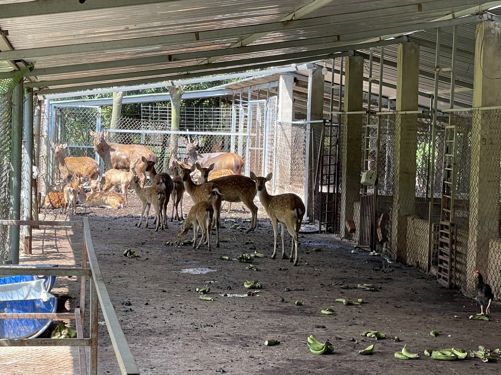 Photo: A wildlife farm in Dong Nai Province, Vietnam