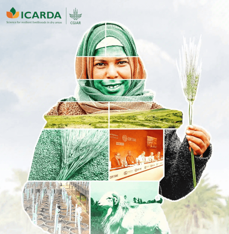 ICARDA 2024 Financial Statements